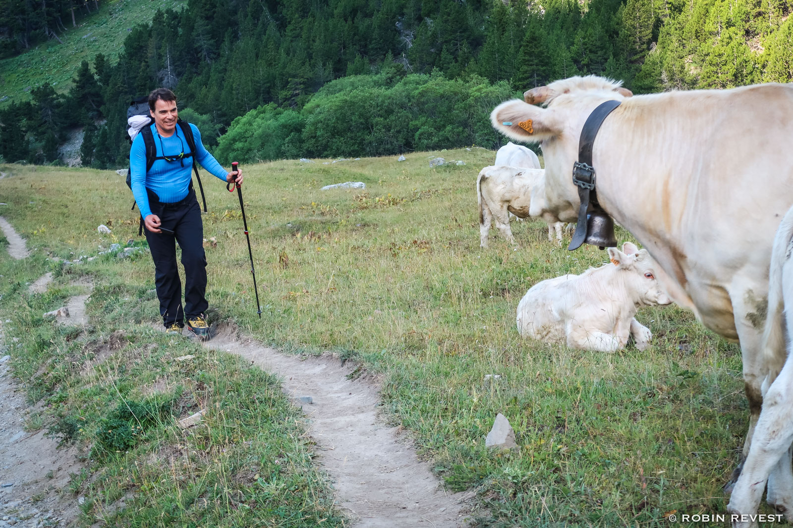 Alpinisme Ecrins 14