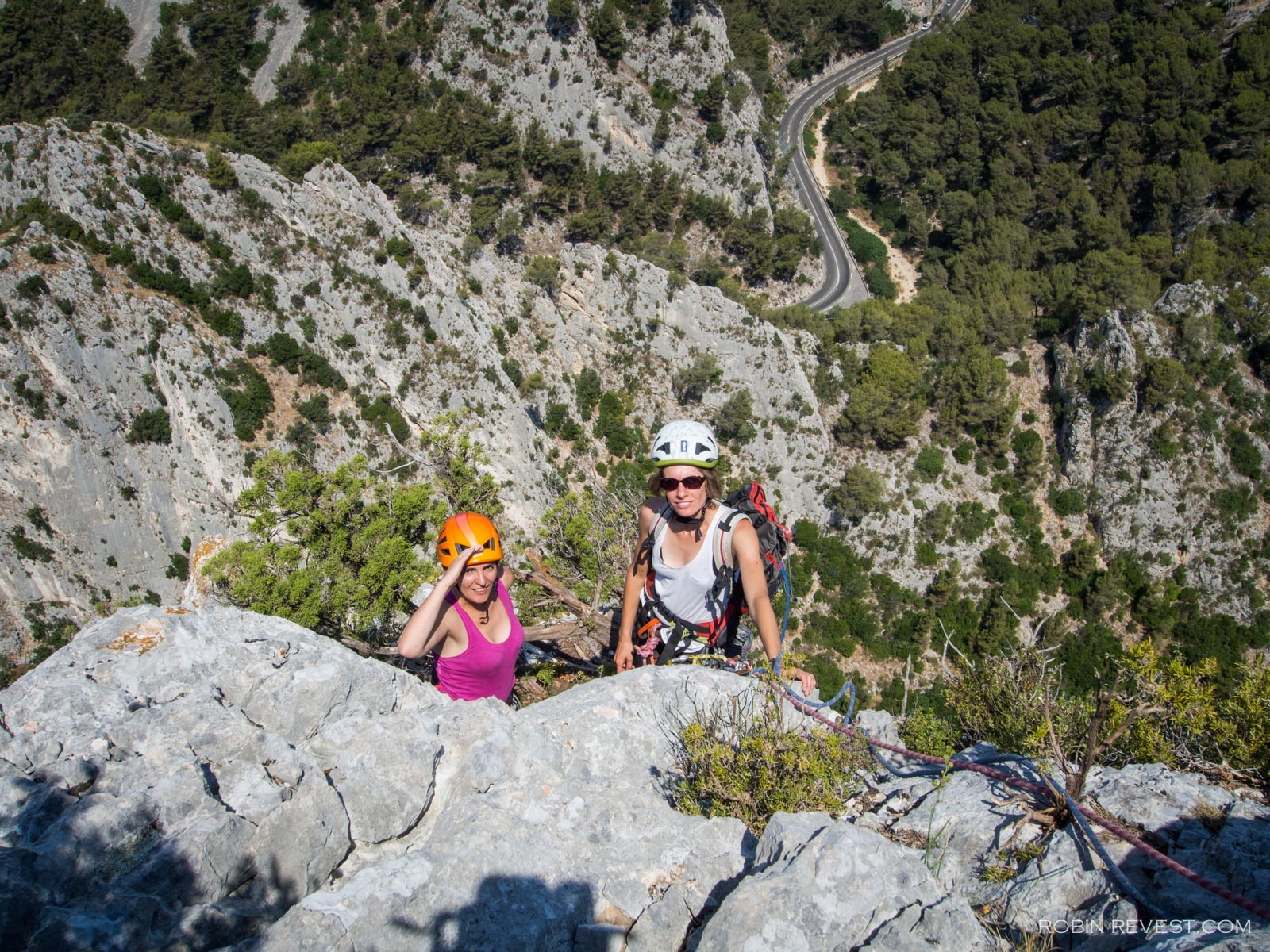 Promenons nous dans les bois 1 sur 1 6