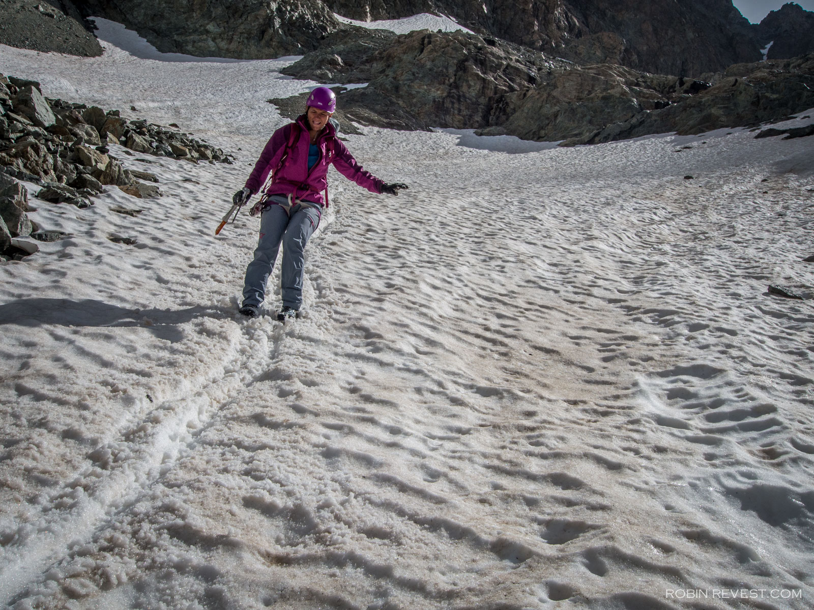 Agneaux par le glacier Tucket 1 sur 1 25